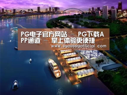 案例展示八