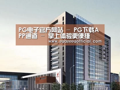 案例展示七