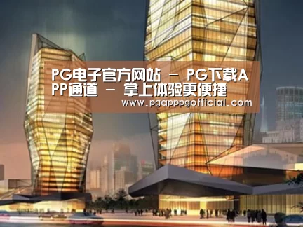 案例展示三
