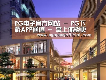 案例展示一
