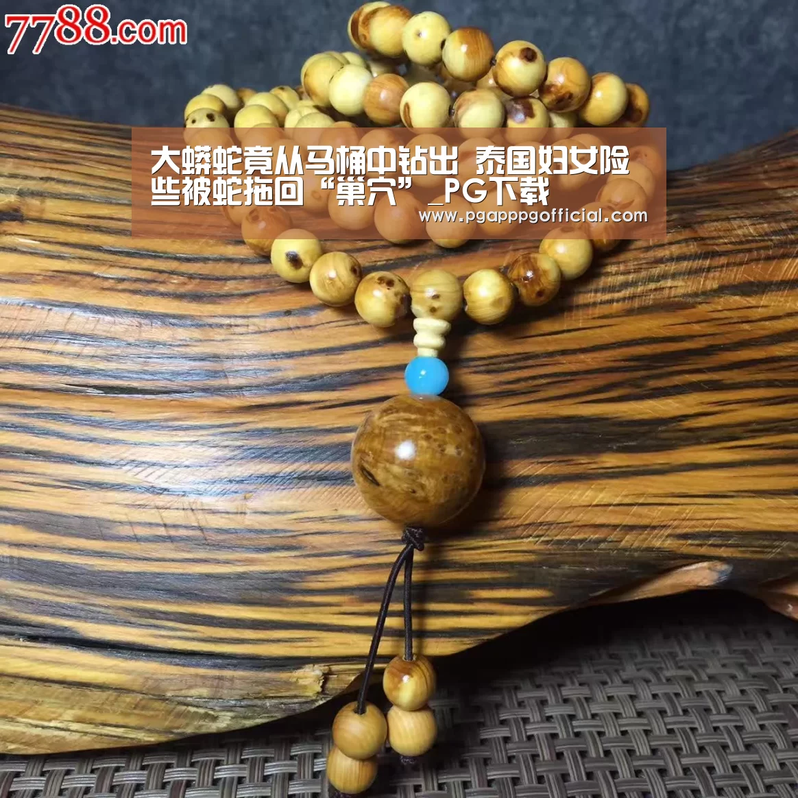 大蟒蛇竟从马桶中钻出 泰国妇女险些被蛇拖回“巢穴”_PG下载(图1) PG下载