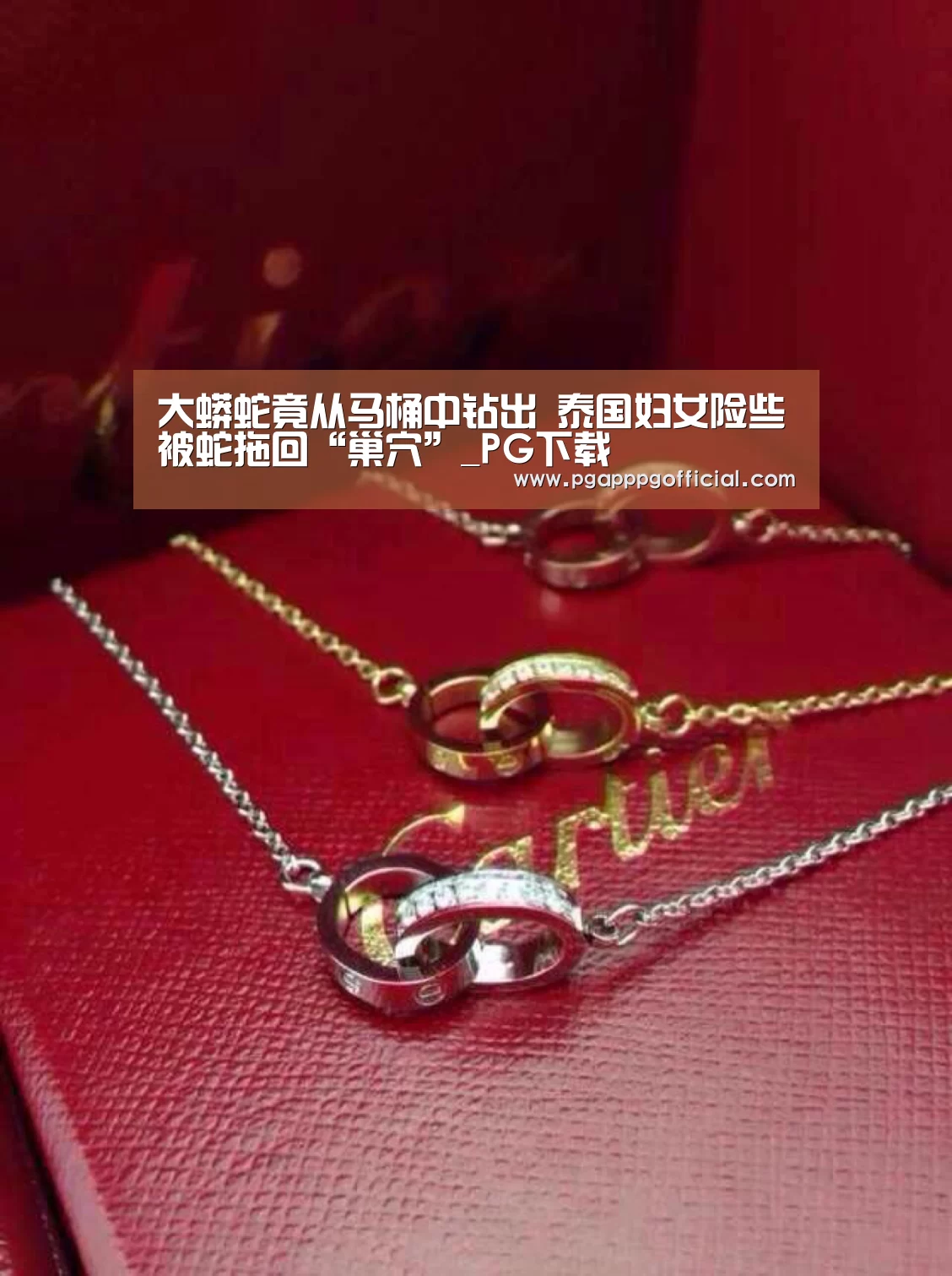 大蟒蛇竟从马桶中钻出 泰国妇女险些被蛇拖回“巢穴”_PG下载(图3) 大蟒蛇竟从马桶中钻出 泰国妇女险些被蛇拖回“巢穴”_PG下载(图3)
