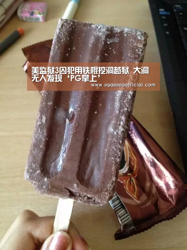 PG下载