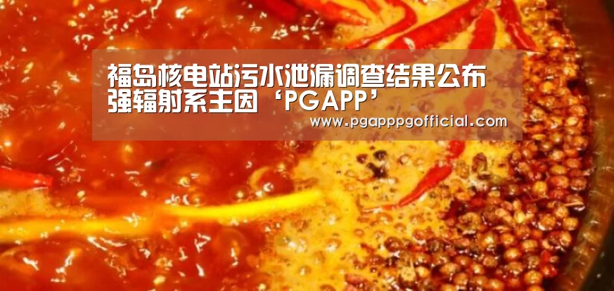 福岛核电站污水泄漏调查结果公布 强辐射系主因‘PGAPP’(图2) 福岛核电站污水泄漏调查结果公布 强辐射系主因‘PGAPP’(图2)