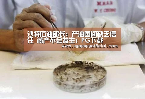 沙特石油部长：产油国间缺乏信任 减产不会发生：PG下载(图1)